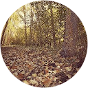 Irene Vela profile picture