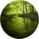 Jennifer profile picture